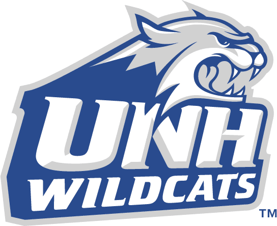 New Hampshire Wildcats iron ons